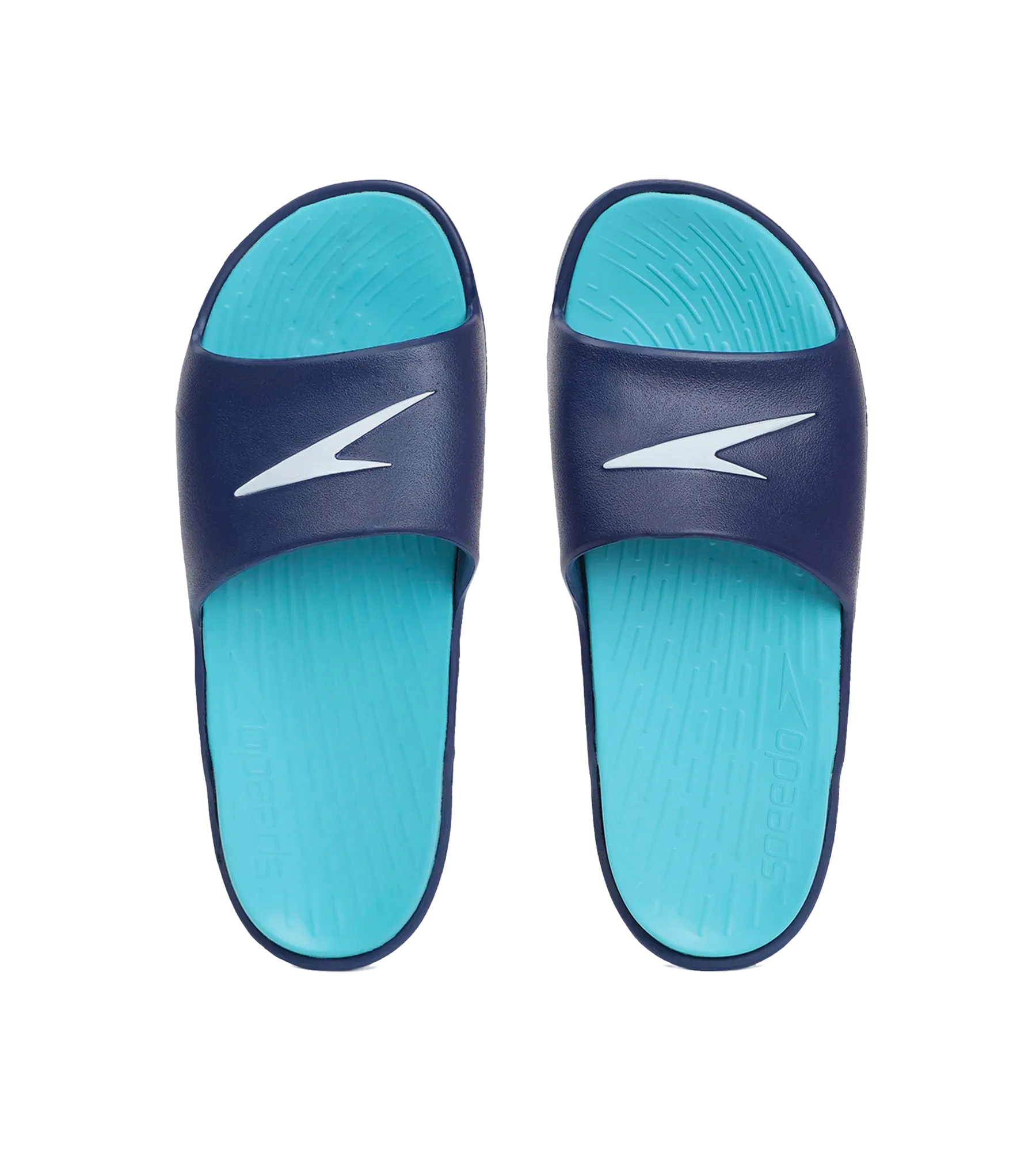 Men's Dual Colour Slides - Aquarium & Ammonite